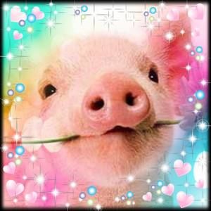 Meet your Posher, Janette